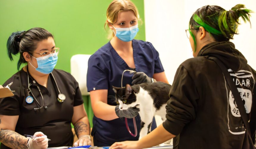 Integrating human and animal health care increases access to services for homeless youth