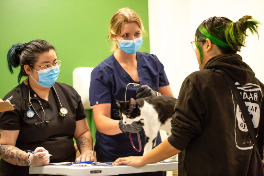 integrating-human-and-1.jpg Integrating human and animal health care increases access to services for homeless youth